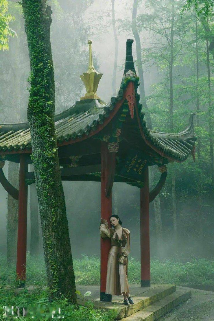 明星“烤瓷牙”有多可怕？
