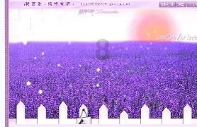 精灵嘉年华