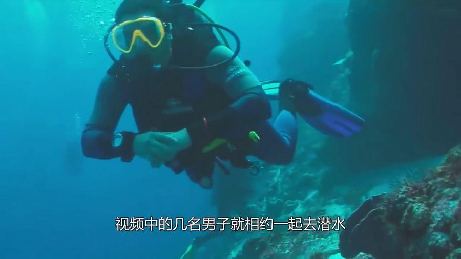 组装机械章鱼龙