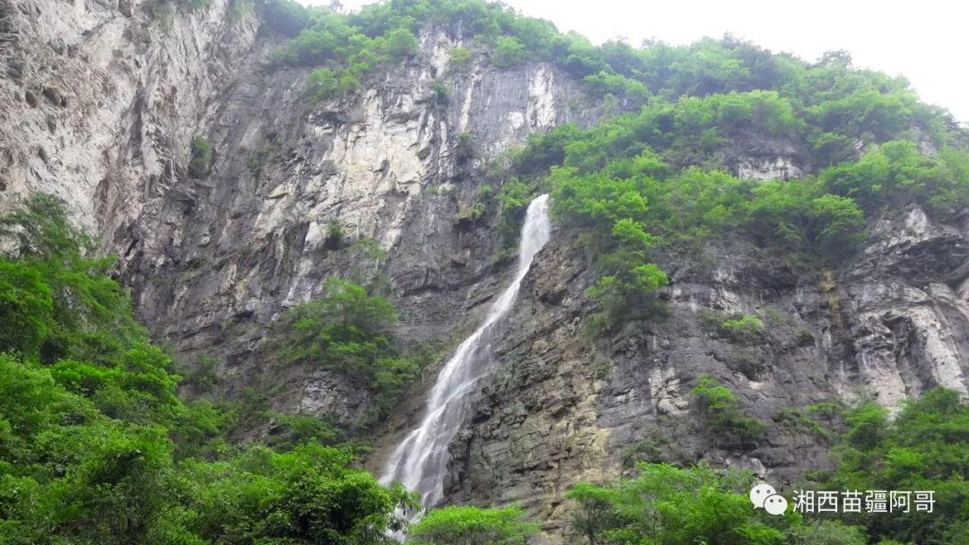 千城百县看中国|寻闽味:和平鲤鱼