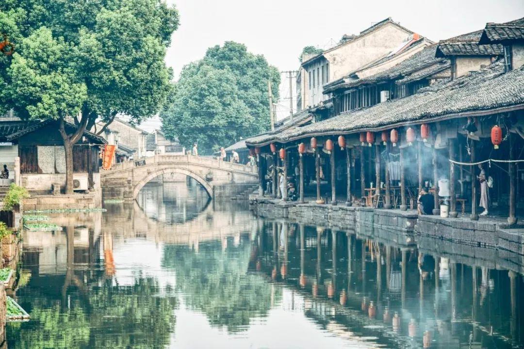 水果姐银色眉毛紫色眼影 “头上长触角”似外星人