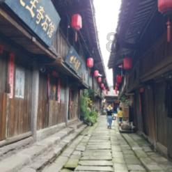 桃花侠守卫战